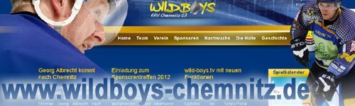 wildboys_chemnitz_webseite-future-werbeagentur