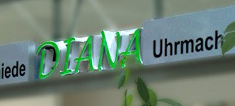 diana-sachsenallee-chemnitz-future-werbeagentur-chemnitz