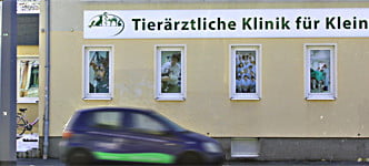 tierarztpraxis chemnitz werbeagentur chemnitz