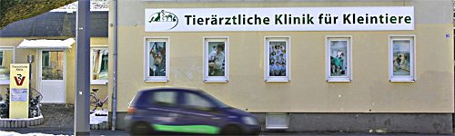 tierarztpraxis chemnitz werbeagentur chemnitz